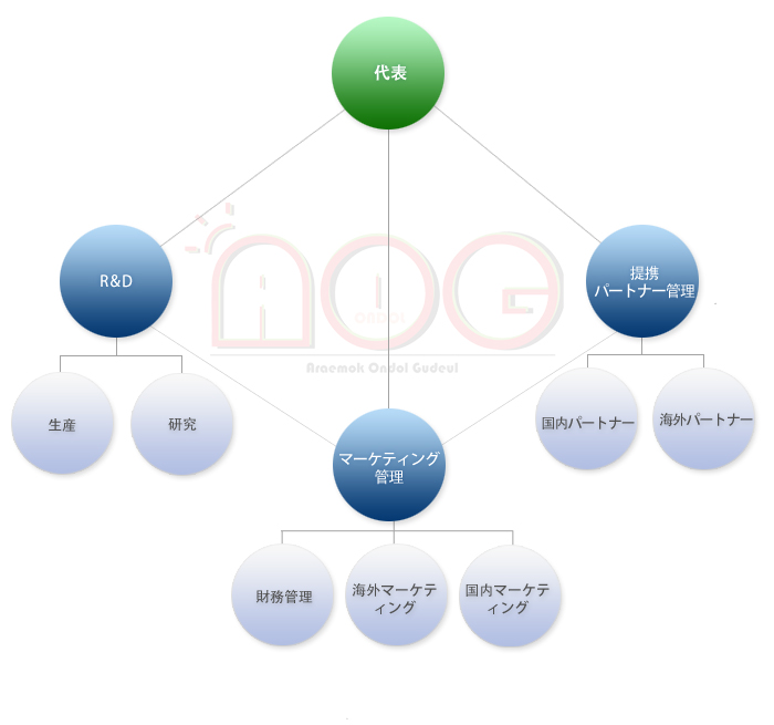 代表, マーケティング管理, 提携 パートナー管理, R & D, 財務管理, 海外マーケティング, 国内マーケティング, 国内パートナー, 海外パートナー, 研究, 生産