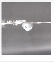 モルタルとの骨柱になって、付着力を高めた破れた鉄板多孔柱